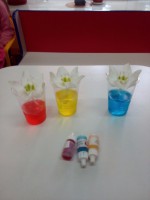 /album/fotogalereya/img-20160831-160719-jpg/